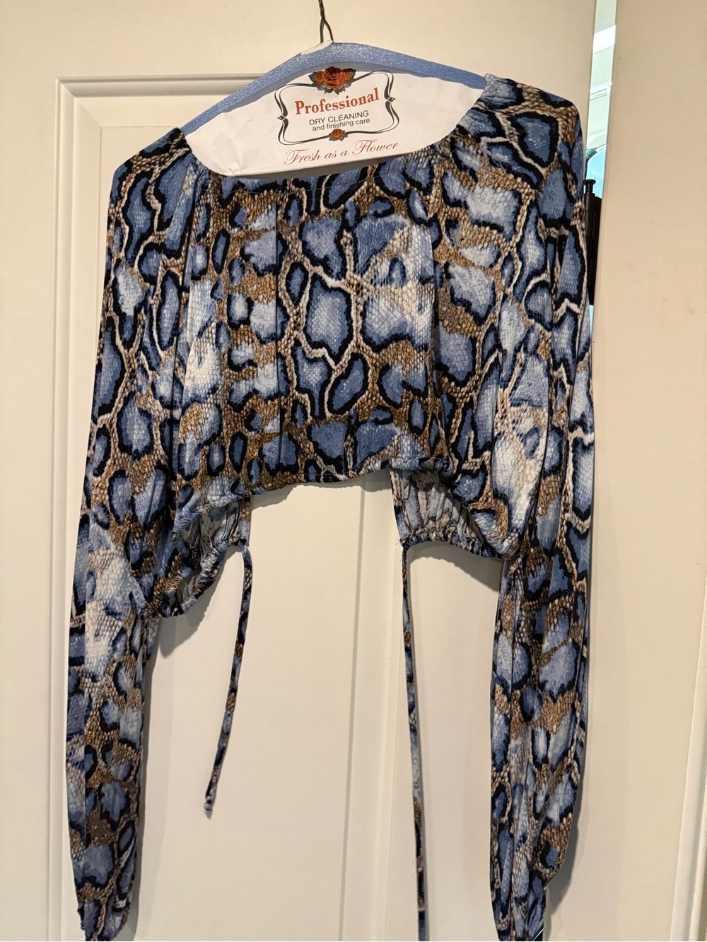 Olivaceous Blue and Brown Snake-Print Cropped Tie-Back Top
